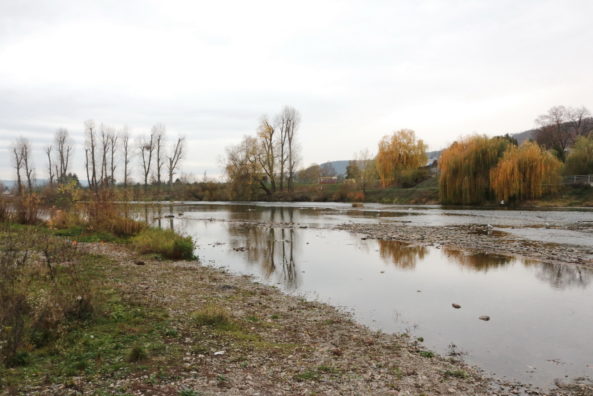 Berounka v Radotíně